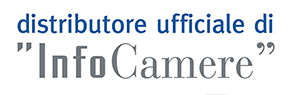 Logo InfoCamere